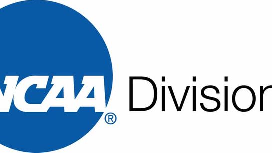 divisioniibanner divisioniibanner