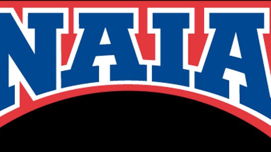 naiabanner naiabanner