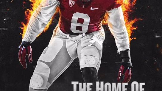 Stanford has the best camp promo poster of 2015: "The Home of Intellectual Brutality"