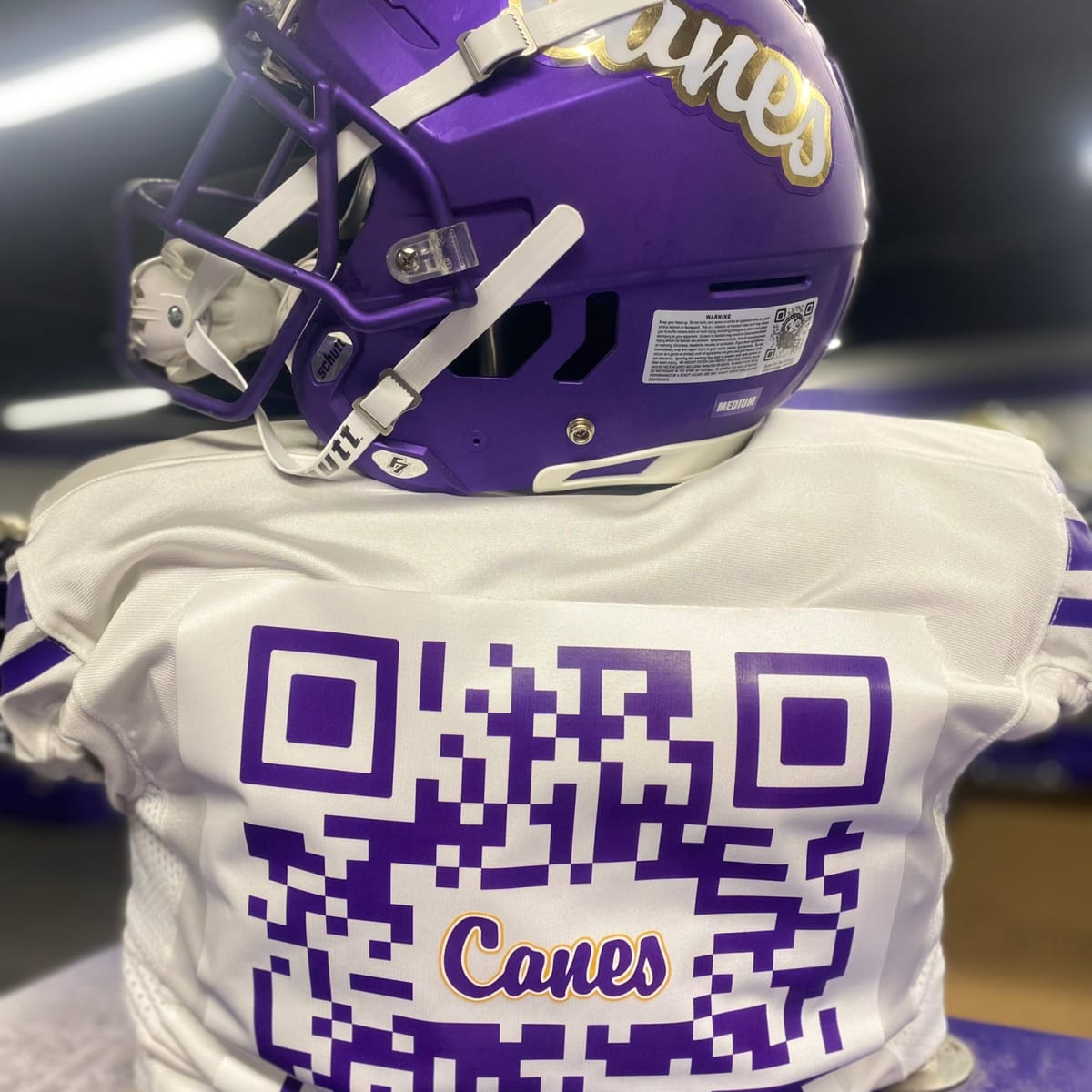 CartersvilleFootball on X: Getting senior jerseys ready for tomorrow's  scrimmage. Thank you to BSN and Nike for the Vapor Pro Jerseys with custom  QR Codes with each senior's recruiting information. #IfYouLoveItSayCanes  #CreatingOpportunities