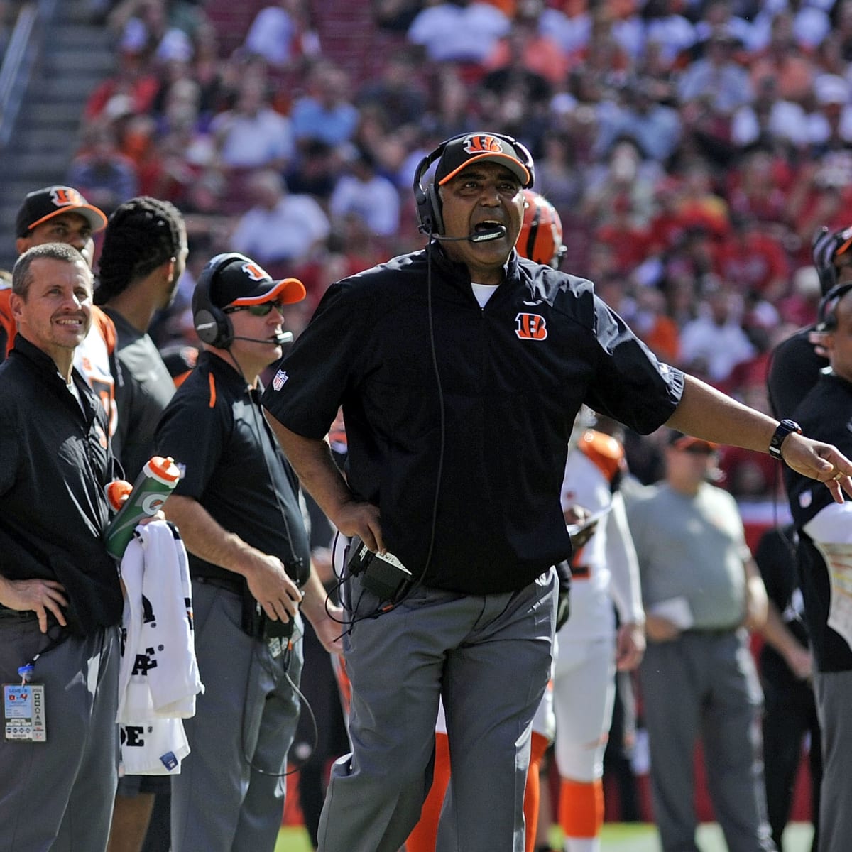 2013 Afc North Champs  Marvin lewis, Champion, Cincinnati bengals