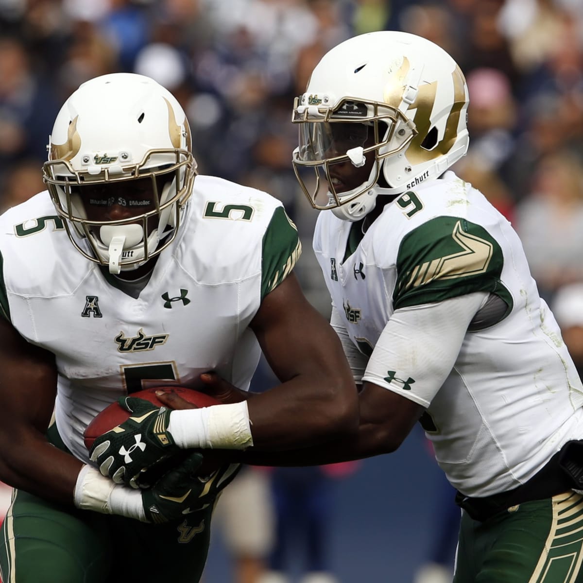 USF approves funding for on-campus football stadium - That's So Tampa