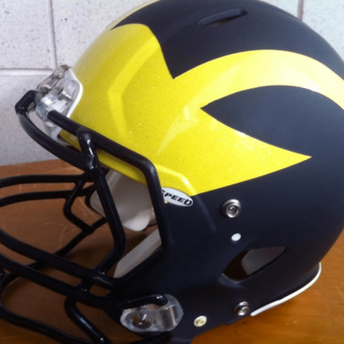 Quilted Bowl Cozy U of M Winged Helmets