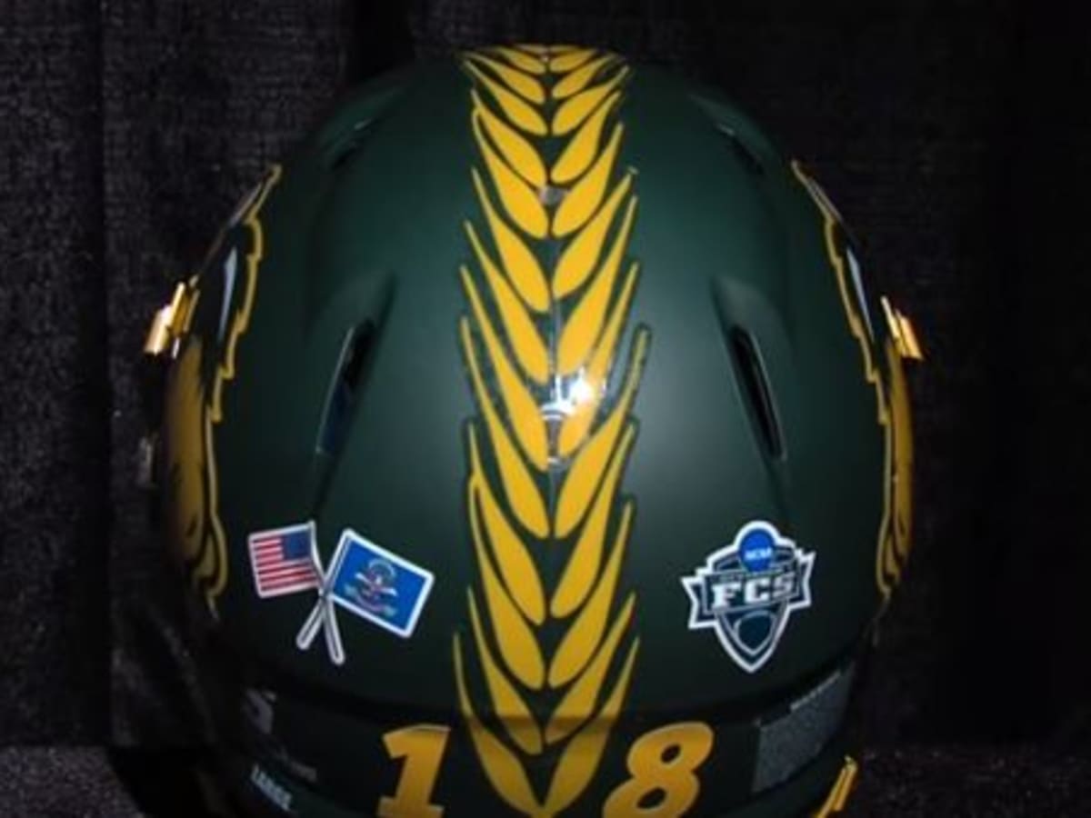 ndsu bison mini helmet