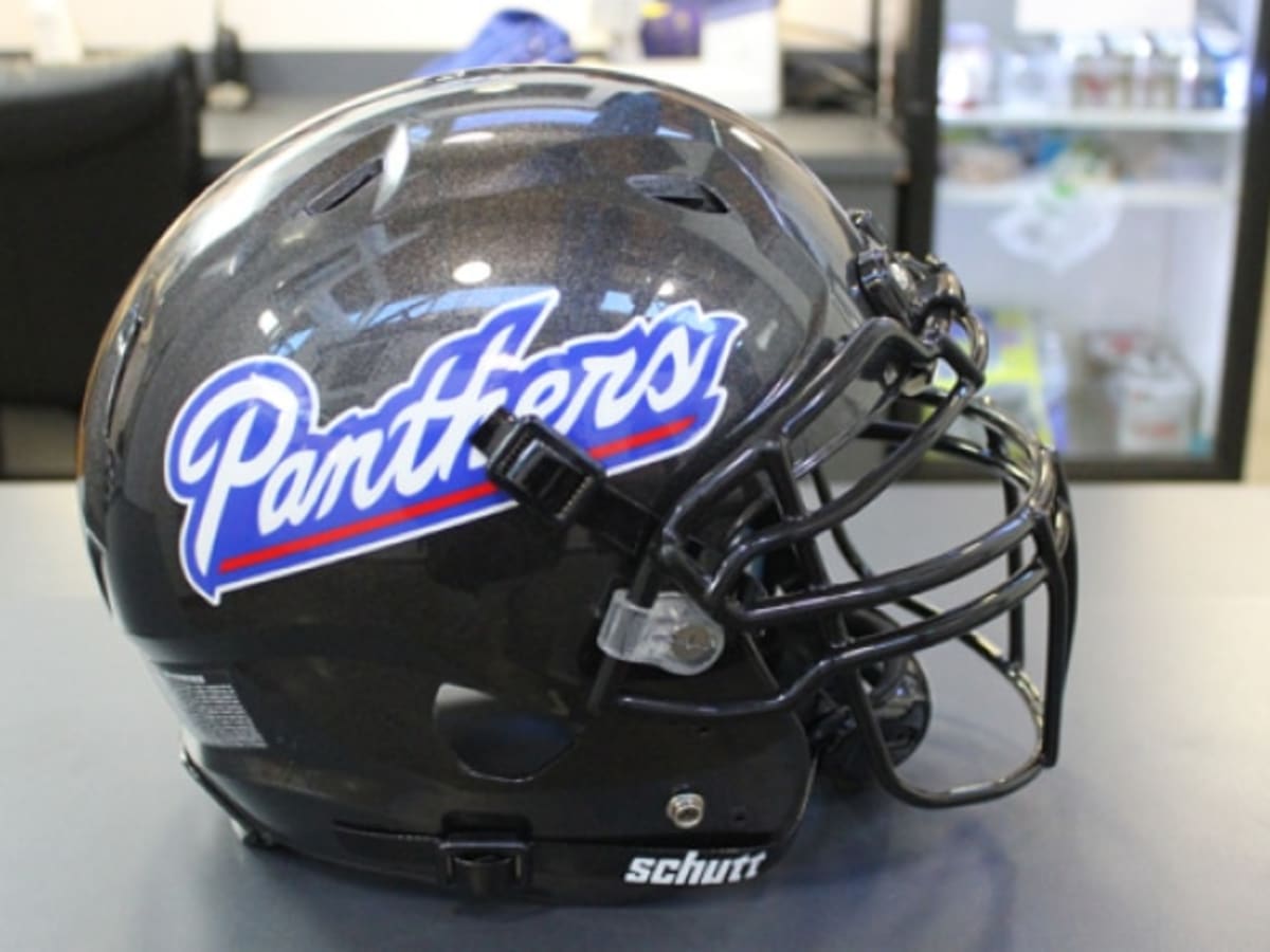 georgia state football helmet