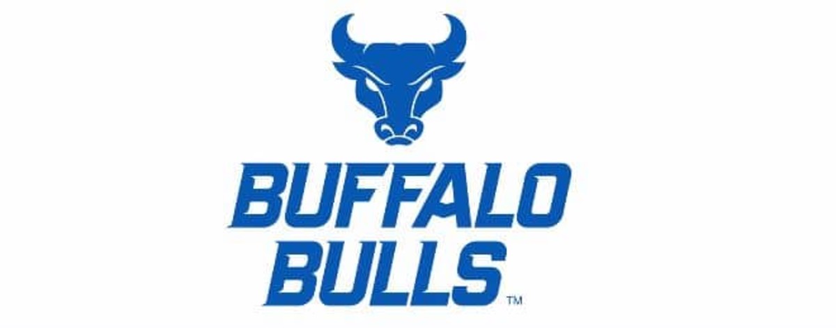 BuffaloBullsBannerNew