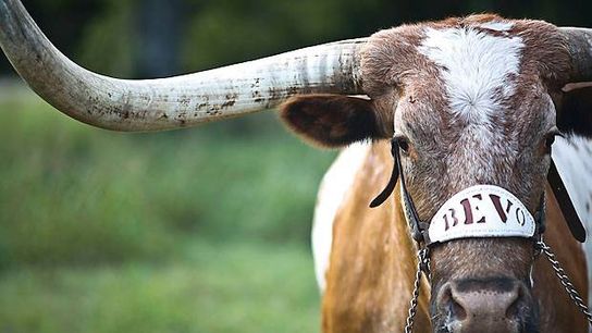 FootballScoop Pod '22 debut: Talking present, future state of college ball, opening games, CFP (FootballScoop Podcast)