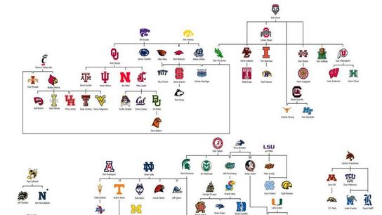 What observations can you draw from this coaching tree graphic?