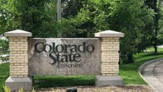Sources: Colorado State planning to hire Freddie Banks as defensive coordinator (Colorado State)