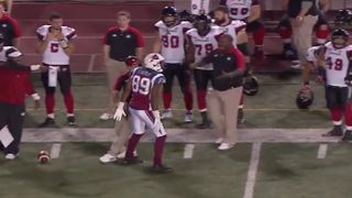 CFL wide receiver catches touchdown pass, knocks over opposing coach (Featured)