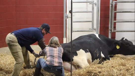 Jim Harbaugh's off season just got even more interesting (Featured)