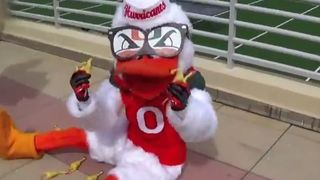 Miami's promo video for tomorrow's game is the most bizarre thing you'll see today (Miami)