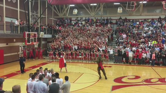 Five O'Clock Shadow - Mascot Fight Edition (Featured)