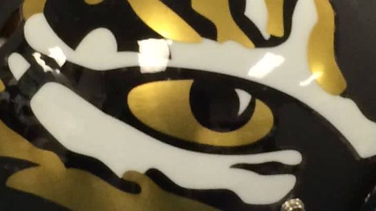 Photo: Does this D-II program have the best new helmet of 2014?