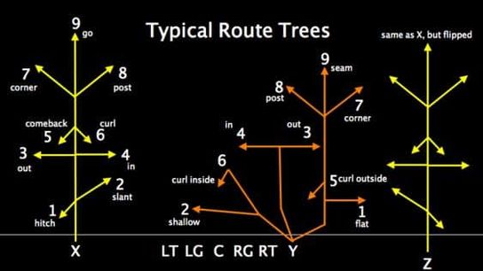 Wednesday's One Minute Warm Up (one minute warm up)