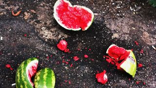 A high school football coach has been fired for...smashing watermelons? (Featured)