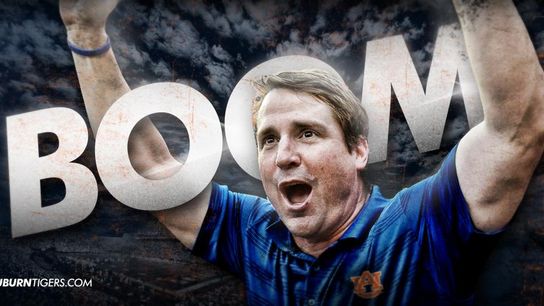 Will Muschamp will be the next defensive coordinator at Auburn (Featured)