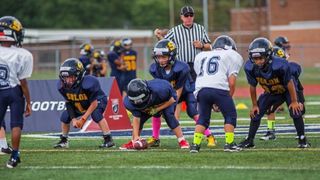Pop Warner to implement USA Football's developmental model (youth football)