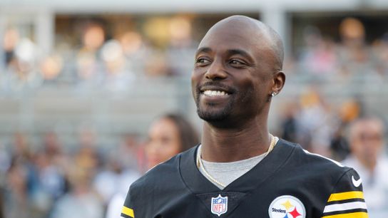 Former Super Bowl MVP Santonio Holmes takes Division II wide receivers job (Central State football)